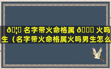 🦆 名字带火命格属 🐅 火吗男生（名字带火命格属火吗男生怎么取名）